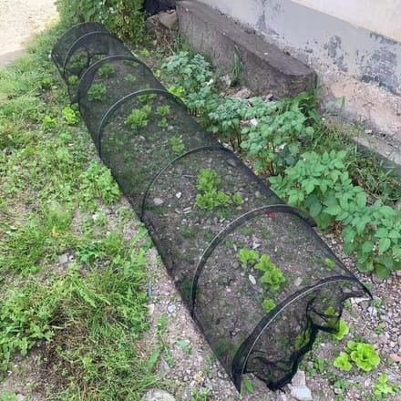 Plant Insectennetten Kweek Tunnel Netten Algemeen Tuinnet Schaduwdoek Tuinnet gray