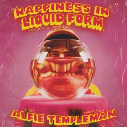 Happiness In Liquid Form - Alfie Templeman
