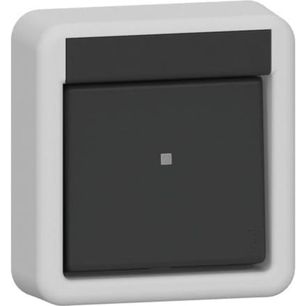 Gira IP44 Twee-Pole Opbouw Schakelaar Grijs - 310235