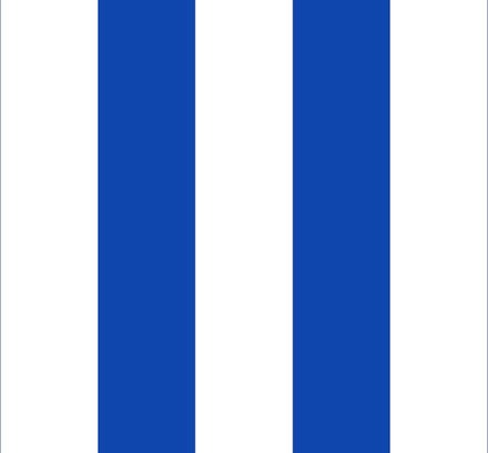 Vlag Berlaar 100x150cm