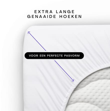 Schlafgut Pure Jersey Hoeslaken L - 140x200 - 160x220 181 Off-Withe