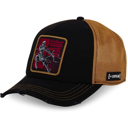 Assassin's Creed Assassin’s Creed Unisex Cap - zwart - Standard