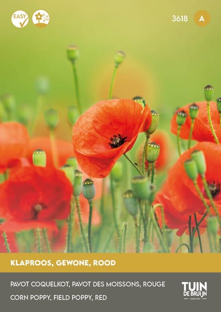 Tuin de Bruijn Klaproos Rood – Papaver rhoeas – 3000 Zaden