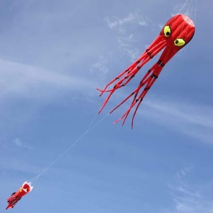 Octopus Vlieger - Vliegend Speelgoed - Buiten Plezier - 8 Armen Ontwerp - 250cm Lengte - Rood
