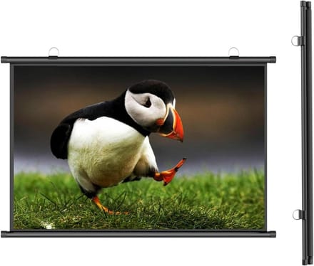 Projectiescherm - Uitschuifbaar scherm - Films Kijken - Kreukvrij PVC - 72 inch - Wit
