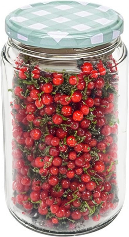 Hega Hogar Weckpot/voorraadpot Classico - 750 ml - kunststof - draaideksel - groen - D8 x H14 cm