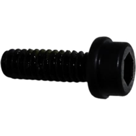 Screw