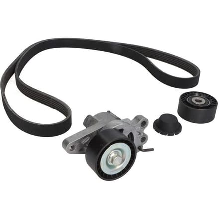 Continental Ctam Poly V-riem set CONTINENTAL 6PK1564K1
