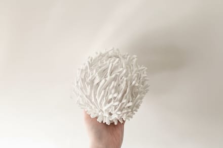 3D-geprinte Koraallamp – Moderne Tafellamp & Woondecoratie