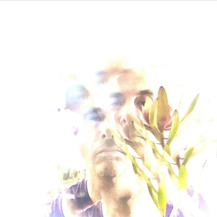 Matthew Himes - Hemlock & Bergamot (LP)