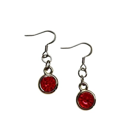2 Love It Bling - Oorbellen - Rood - Acryl hanger - RVS haken - 4 cm