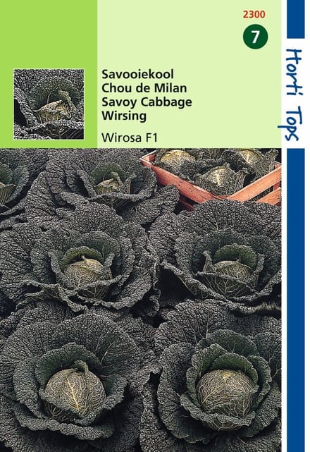 2 stuks - Hortitops - Savooiekool Wirosa F1 Hybride