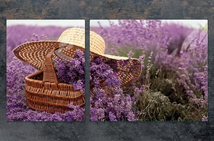 TMK ArtDeko - Snijplank - Lavendelkleur - Glasplaat - 100x52 cm