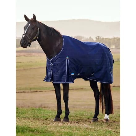 Outdoor paardendeken Weatherbeeta Comfitec Prelim 220g