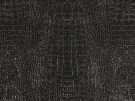 BN Curious zwart goud kroco behang croco dierenhuid 17950