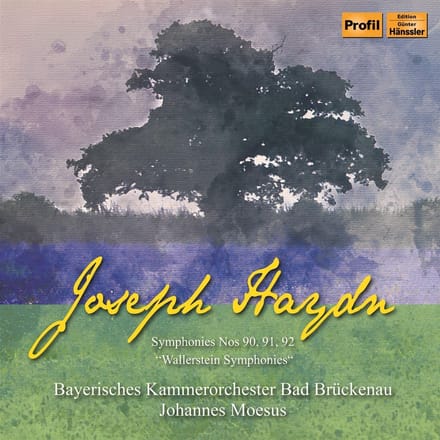 Johannes Moesus - Haydn: Wallerstein Symphonies (CD)