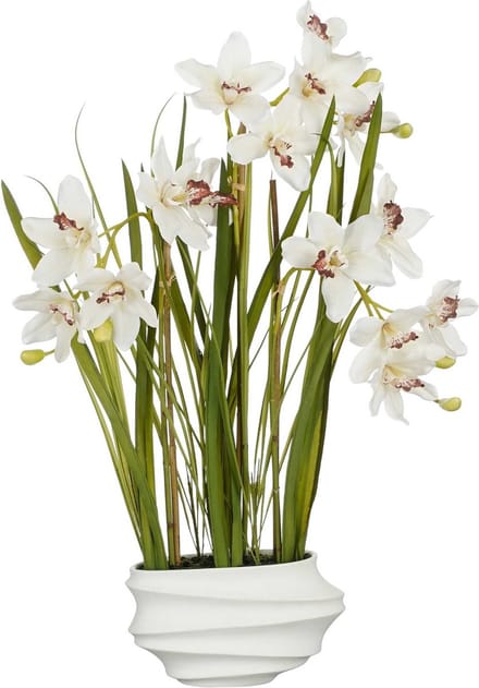 Mica Decorations Kunstplant Cymbidium - 49x40x81 cm - Polyester - Creme