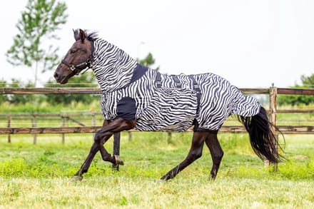 MASTER Zebra Eczeemdeken 155/205 - UV Bescherming & Anti-vliegen