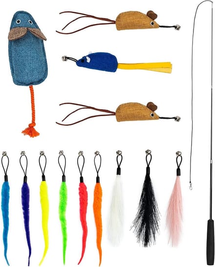 Uitgebreide Kattenspeelgoed Set met Hengel en Diverse Accessoires