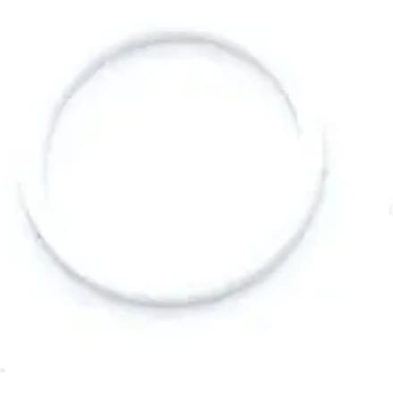 Demperring WSS FOX DHX2