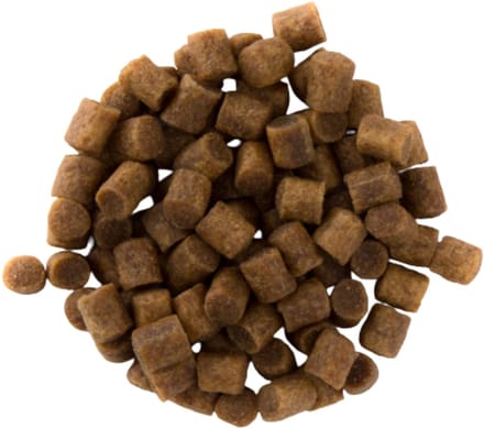Oswalt - Premium Coarse 4.5mm - 5KG - Pellet & Aas, Zinkend