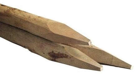 TuinChamp Robinia ronde paal 8-12cm 250cm