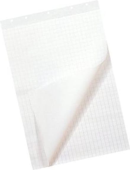 Flipoverpapier - 65 x 100 cm - Blanco Ruit - 80 gram - 50 vel