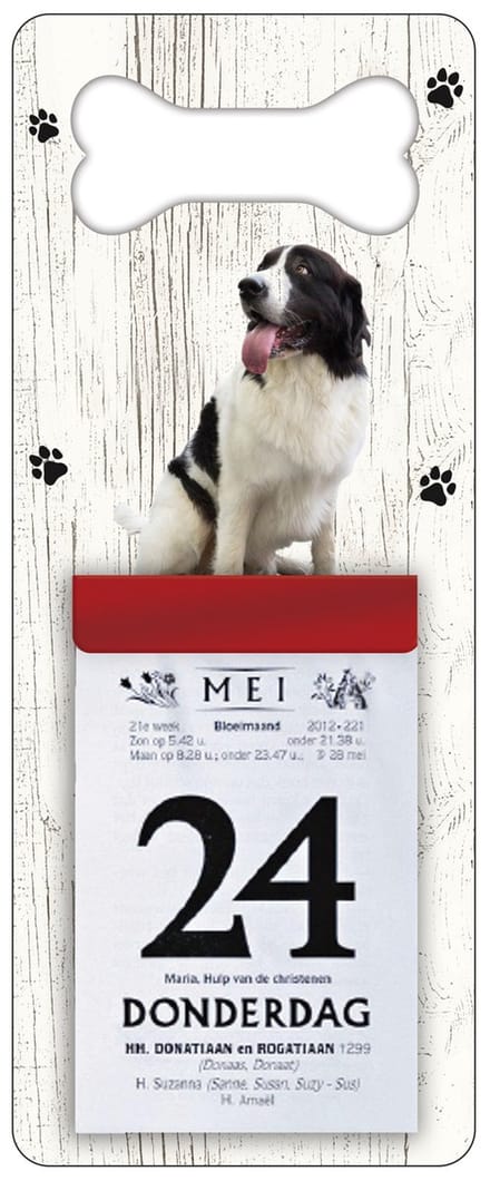 Scheurkalender 2027 Hond: Landseer ECT