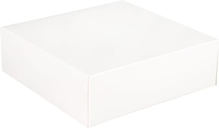 Gebaksdoos | karton | 25x25x8cm | wit | 175 stuks