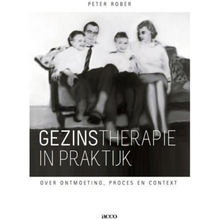 Gezinstherapie In Praktijk - Peter Rober