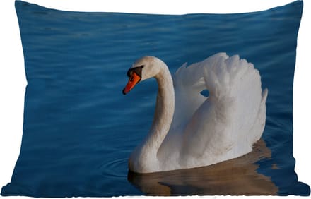 Buitenkussens - Zwaan - Water - Vogel - Wit - 60x40 cm - Weerbestendig