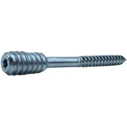 Sencys Spaanplaatschroef Staal Torx T25 - 6x80mm - 2 Stuks