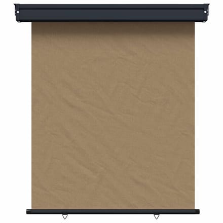 vidaXL Zijscherm Balkon 117 x 250 cm 100% polyester ijzer staal Taupe
