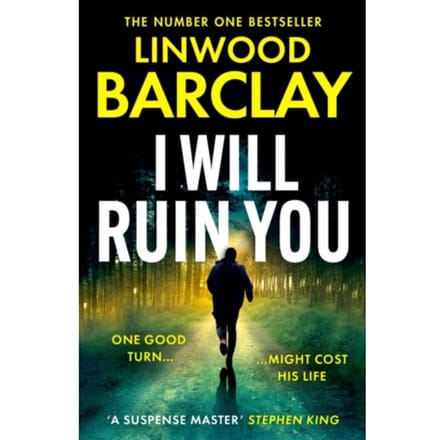 I Will Ruin You - Linwood Barclay