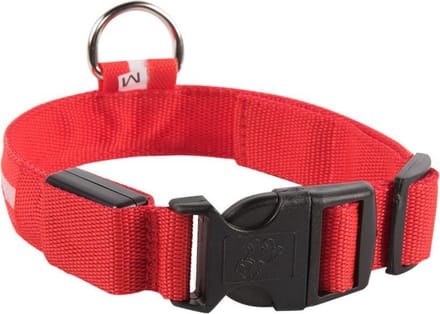 Smartphonica LED lichtband - Lichtgevend - Hondenhalsband - Inclusief Batterijen - Rood - L