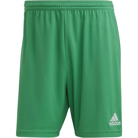Adidas Ent22 Korte Broek Groen S / Regular Man