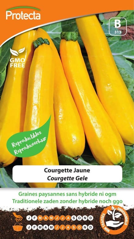 Protecta Groente zaden: Courgette Gele
