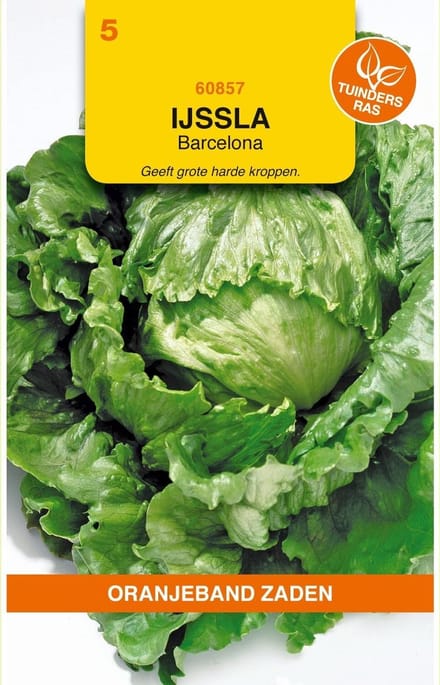 Oranjebandzaden -  IJssla Barcelona
