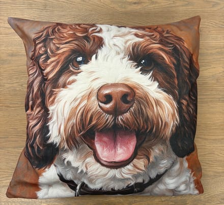 Labradoodle sierkussen 45 x 45 cm