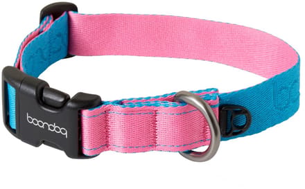 Boondog - Original Collar - Aqua/Pink - M