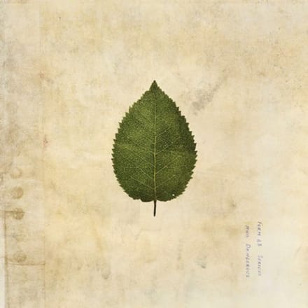 Boxer Rebellion - The Cold Still (Forest Green Vinyl)