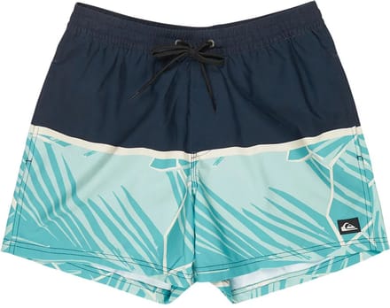 Quiksilver Everyday Poolsider 15´´ Zwembroek Blauw M Man
