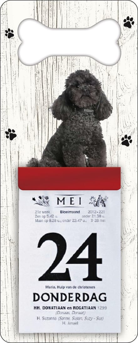 Scheurkalender 2027 Hond: Poedel zwart