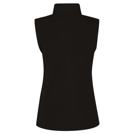 Regatta Vrouwen/dames 210 Series Microfleece Bodywarmer / Gilet (Zwart)