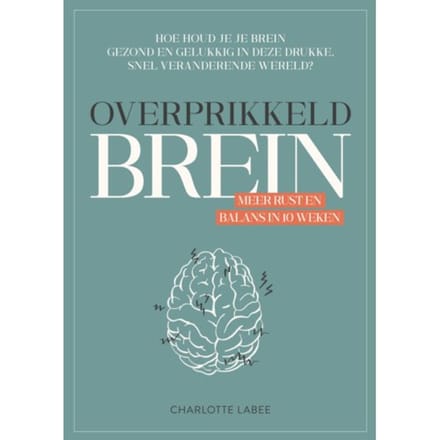 Overprikkeld Brein - Charlotte Labee