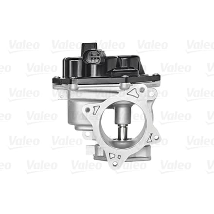 EGR klep VALEO 700448
