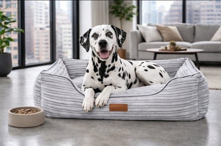 Dog's Lifestyle hondenmand Supersoft Rib Grijs 80cm