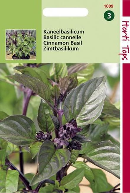 Hortitops Zaden - Basilicum Kaneelsmaak