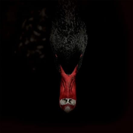 Sankt Otten + N - Männerfreundschaften Und Metaphysik (CD)