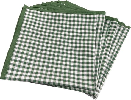 Servetten - Groen-Wit Fijn Geruit - Brabants Bont – Set van 6 – 40x40 cm